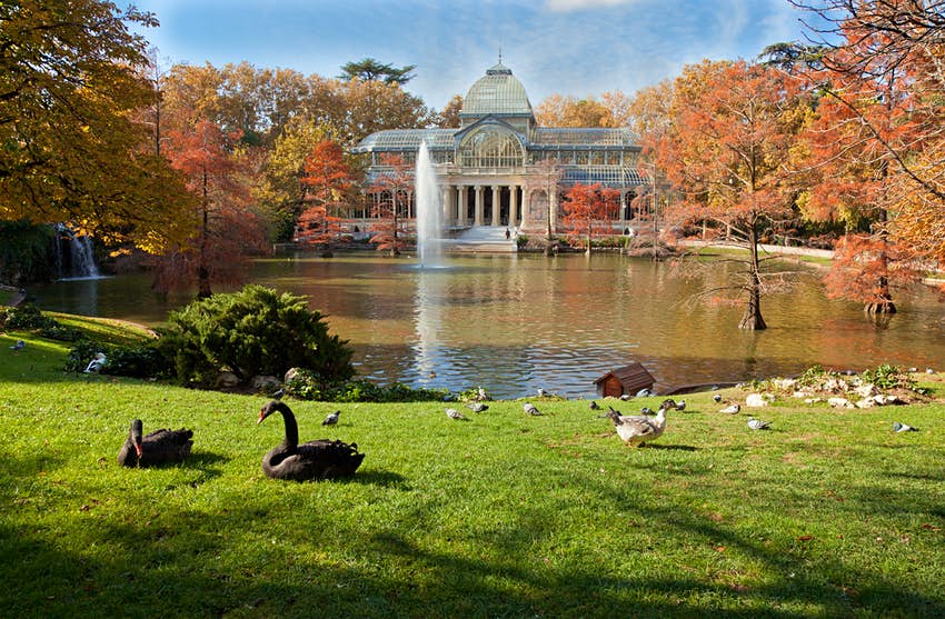 Palacio de Cristal en el Parque del Retiro, Madrid, España con vistas a un pequeño lago con fuentes que brotan y árboles circundantes que se vuelven naranjas y ocres en otoño, cisnes rodeando el césped en primer plano